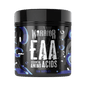 Warrior EAA 30 Serv